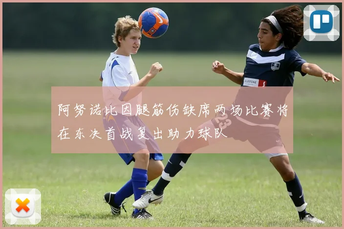 阿努诺比因腿筋伤缺席两场比赛将在东决首战复出助力球队